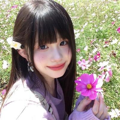 画鸡 在线观看